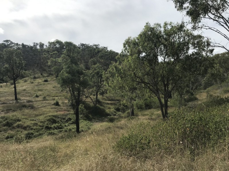 494 Yeppoon Road, Limestone Creek QLD 4701