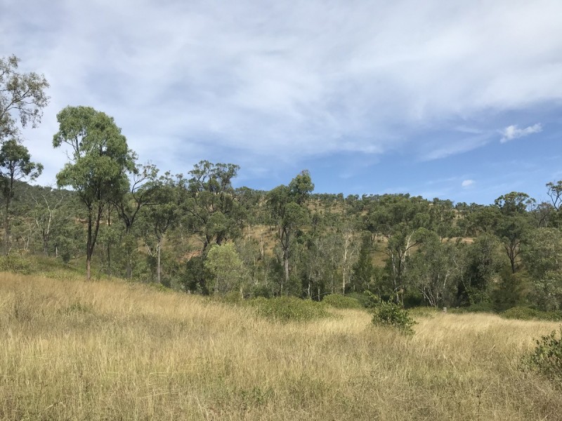 494 Yeppoon Road, Limestone Creek QLD 4701