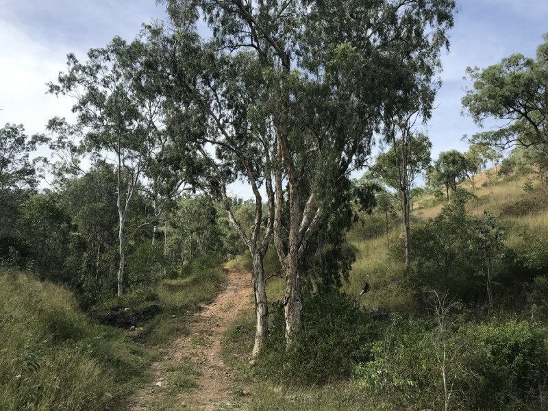 494 Yeppoon Road, Limestone Creek QLD 4701