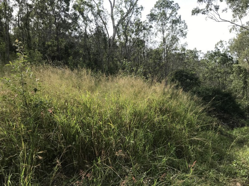 494 Yeppoon Road, Limestone Creek QLD 4701