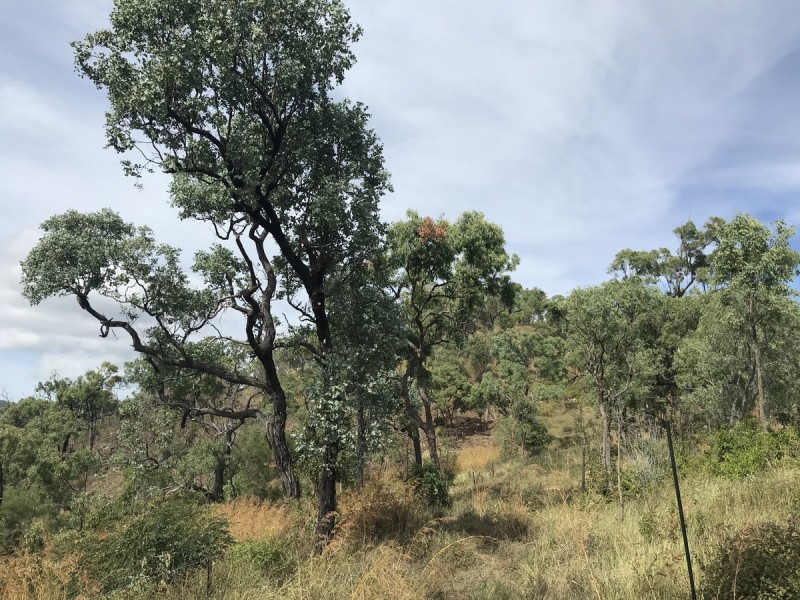 494 Yeppoon Road, Limestone Creek QLD 4701