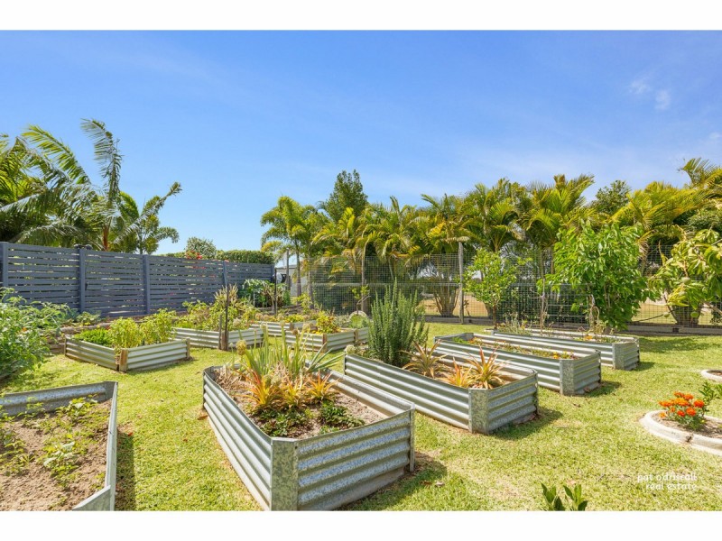 3 Peregrin Court, Parkhurst QLD 4702