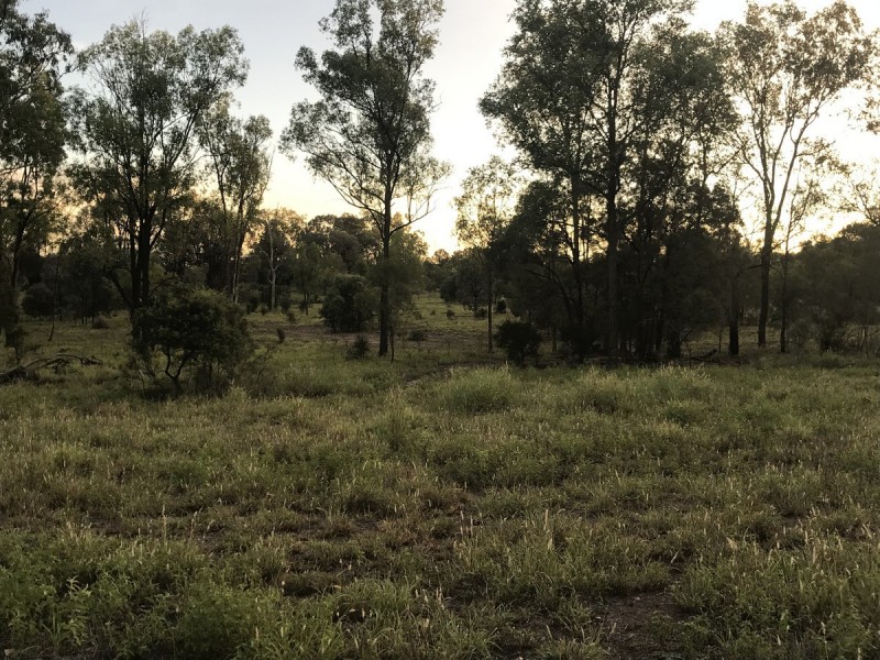 185 Alaire Drive, Theodore QLD 4719