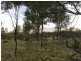 185 Alaire Drive, Theodore QLD 4719