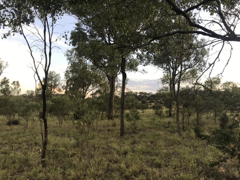 185 Alaire Drive, Theodore QLD 4719