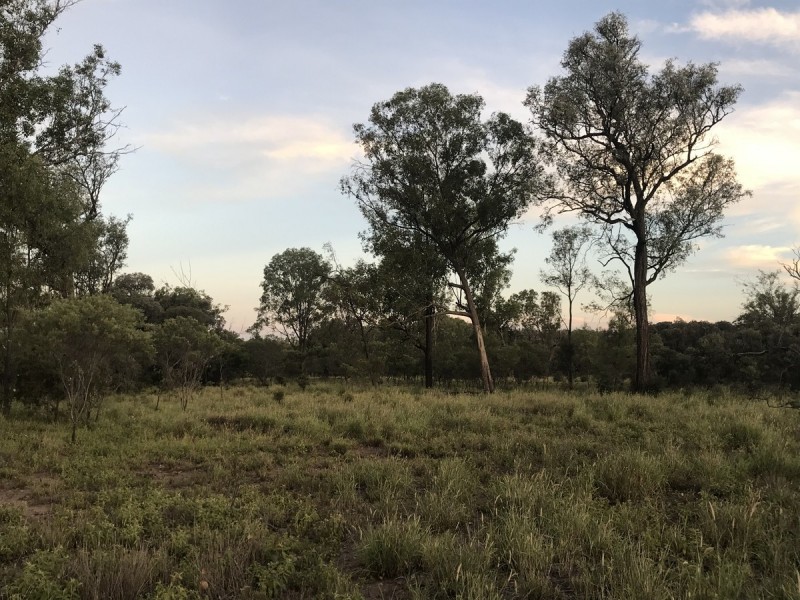 185 Alaire Drive, Theodore QLD 4719
