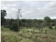 185 Alaire Drive, Theodore QLD 4719