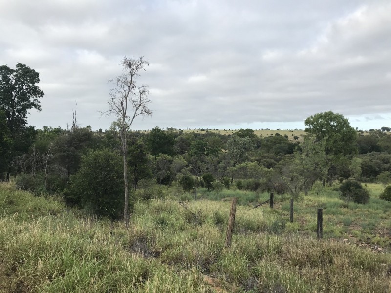 185 Alaire Drive, Theodore QLD 4719