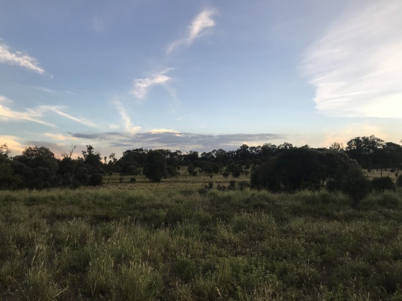 185 Alaire Drive, Theodore QLD 4719