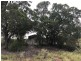 185 Alaire Drive, Theodore QLD 4719