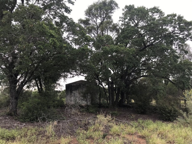 185 Alaire Drive, Theodore QLD 4719