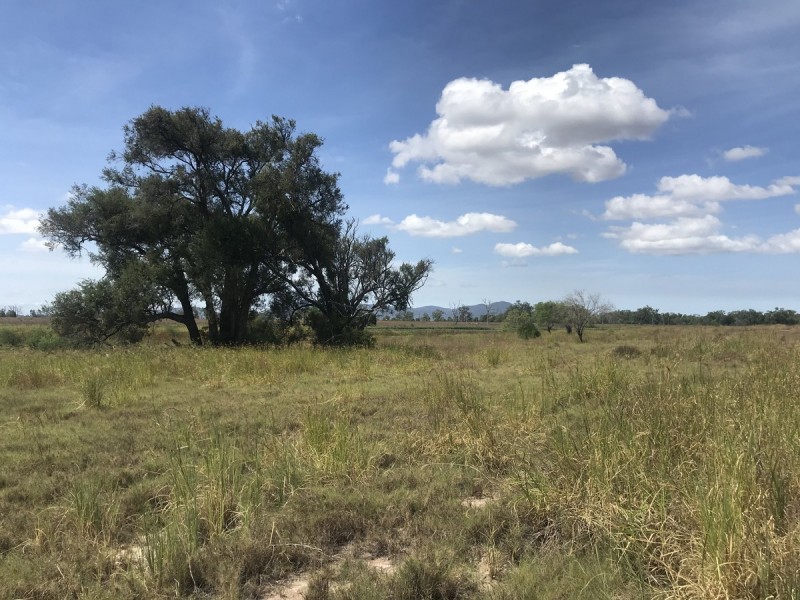 105 Watts Road, Gracemere QLD 4702