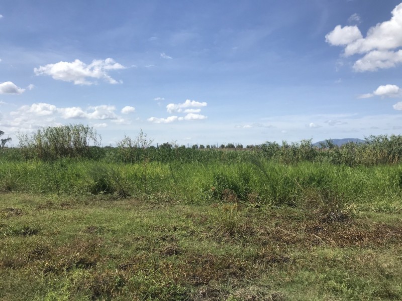 105 Watts Road, Gracemere QLD 4702