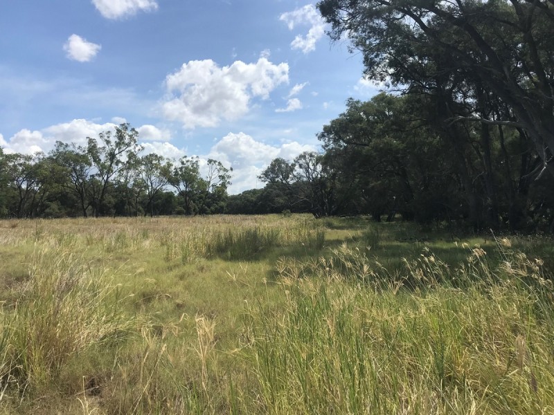 105 Watts Road, Gracemere QLD 4702