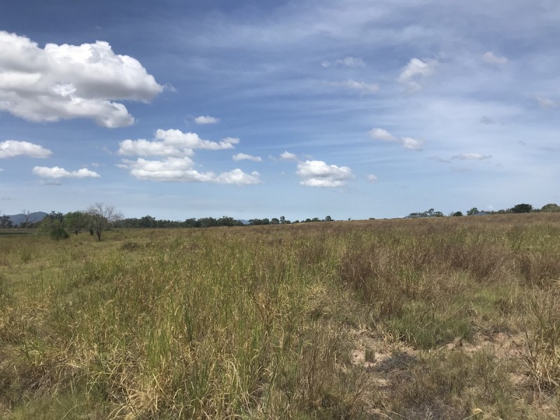 105 Watts Road, Gracemere QLD 4702