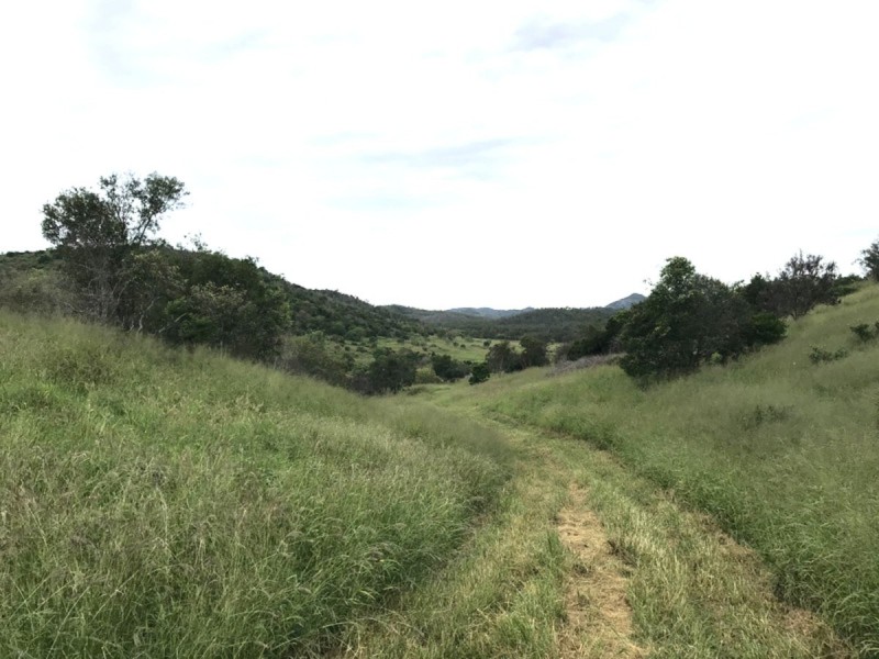 195 Dendles Road, Milman QLD 4702