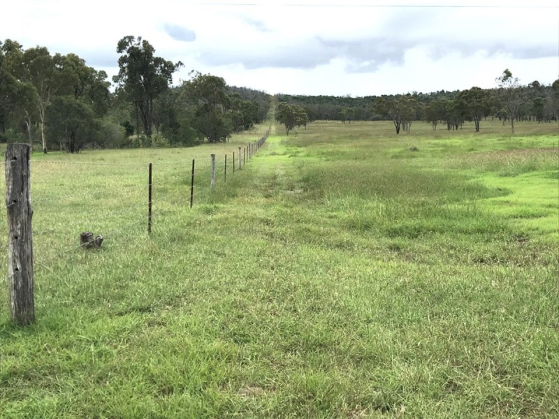 195 Dendles Road, Milman QLD 4702