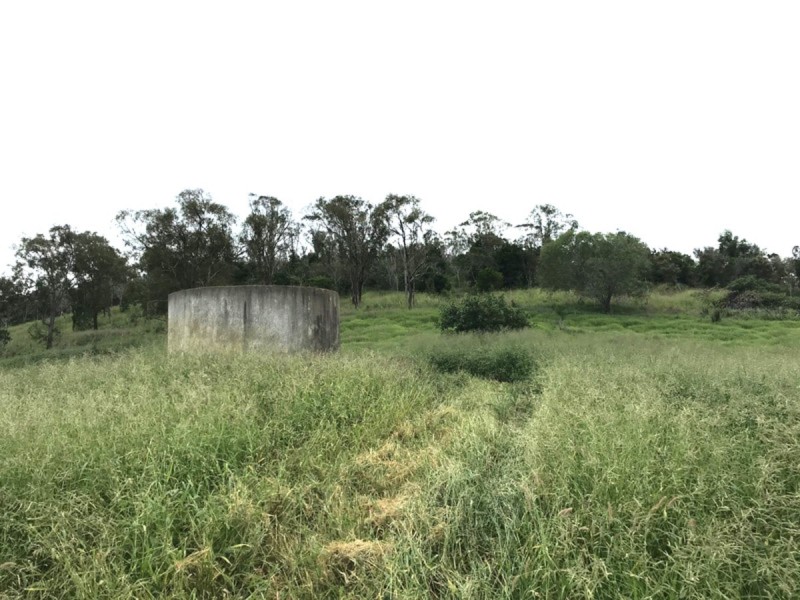 195 Dendles Road, Milman QLD 4702