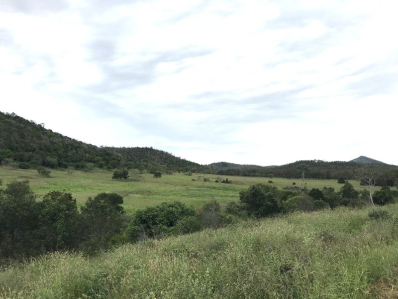 195 Dendles Road, Milman QLD 4702