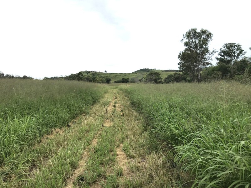 195 Dendles Road, Milman QLD 4702