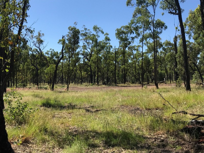 Raspberry Ck, Kunwarara QLD 4702