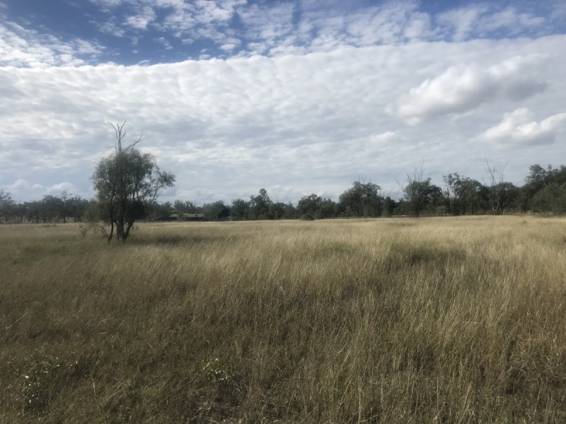 21 Colliver Road, Alton Downs QLD 4702