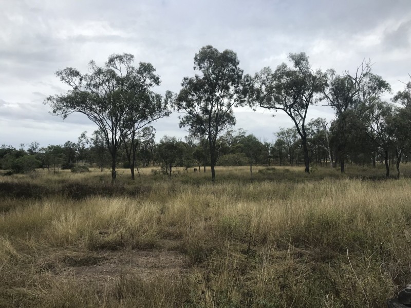 21 Colliver Road, Alton Downs QLD 4702