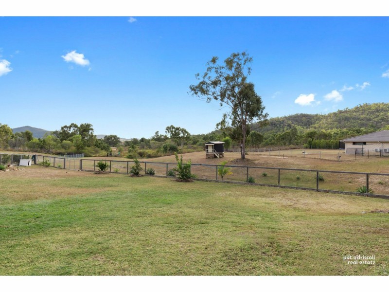 125 Constance Avenue, Rockyview QLD 4701