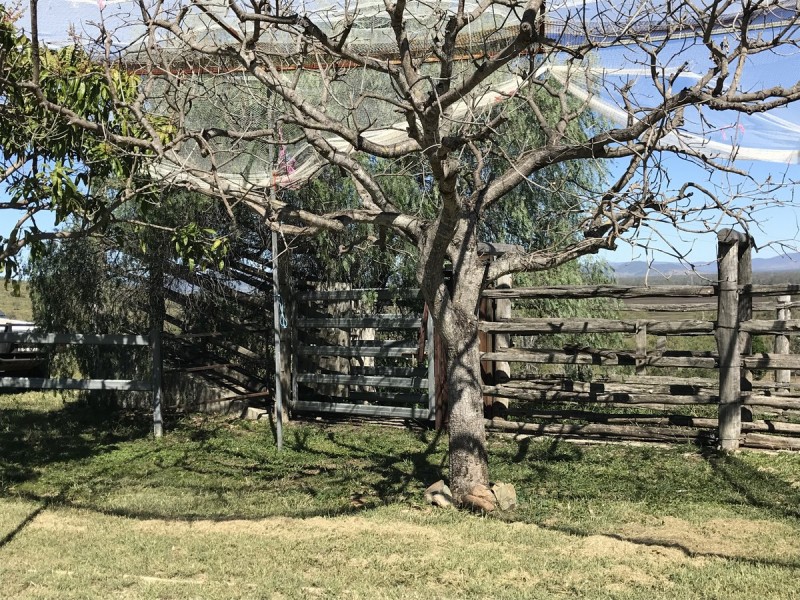 7 Sisalana Road, Bajool QLD 4699