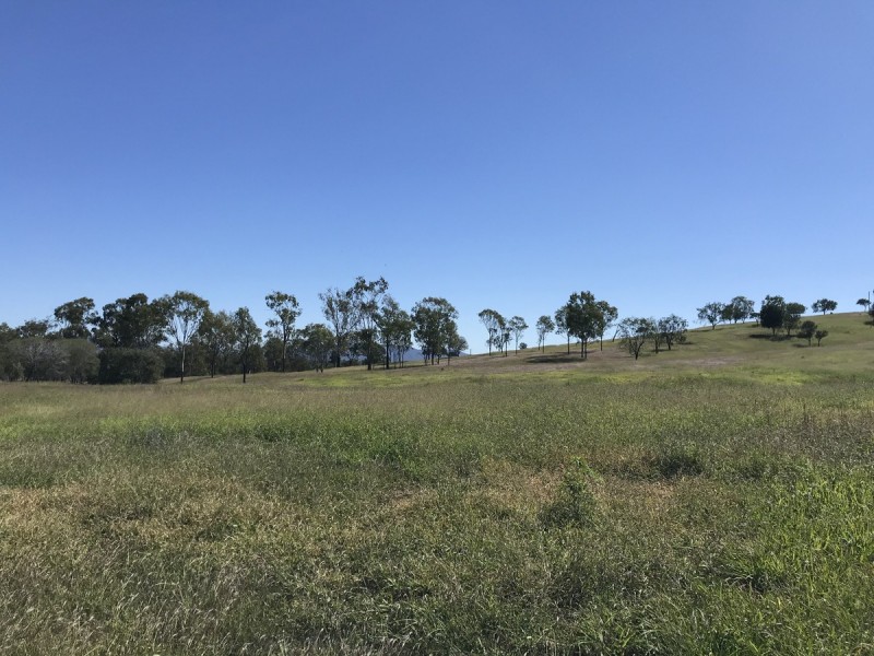 7 Sisalana Road, Bajool QLD 4699