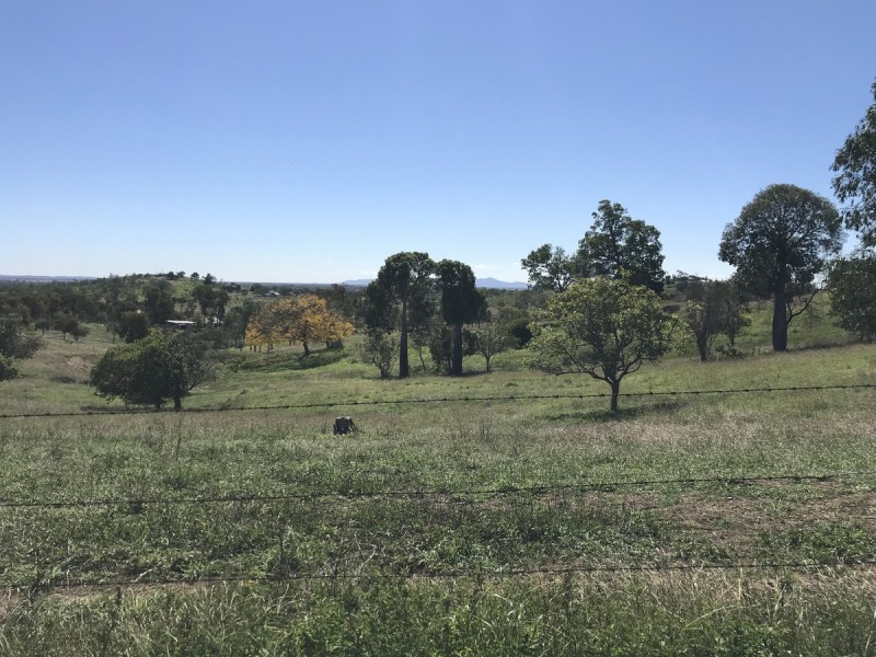 7 Sisalana Road, Bajool QLD 4699