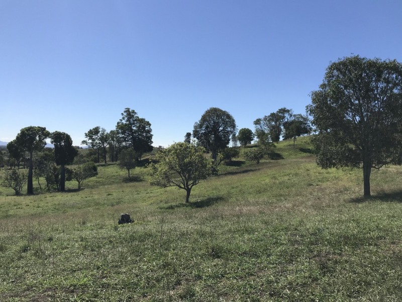 7 Sisalana Road, Bajool QLD 4699