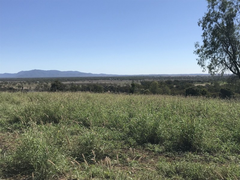 7 Sisalana Road, Bajool QLD 4699