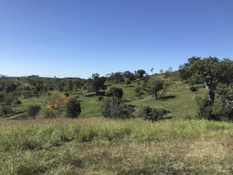 7 Sisalana Road, Bajool QLD 4699