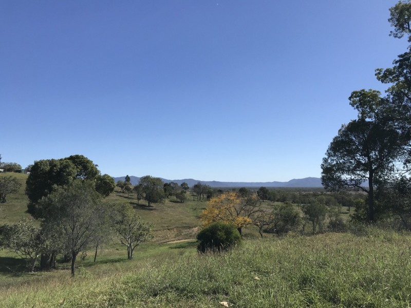 7 Sisalana Road, Bajool QLD 4699