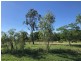 296 Johnson Road, Gracemere QLD 4702