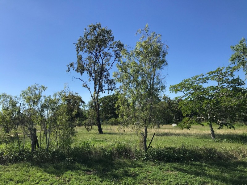 296 Johnson Road, Gracemere QLD 4702