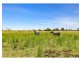 1179 Ridgelands Road, Alton Downs QLD 4702