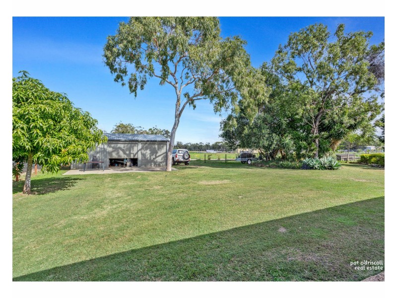 3 Jewell Court, Parkhurst QLD 4702