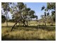 3 Dalma Ridgelands Road, Ridgelands QLD 4702