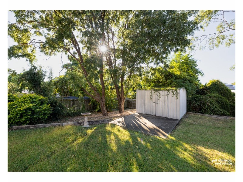 16 Wilkinson Street, Wandal QLD 4700