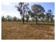 216 Lion Mountain Road, Alton Downs QLD 4702