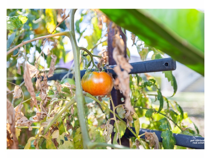 277 Diplock Street, Berserker QLD 4701