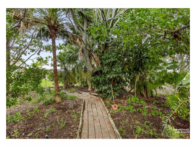 1300 Ridgelands Road, Alton Downs QLD 4702