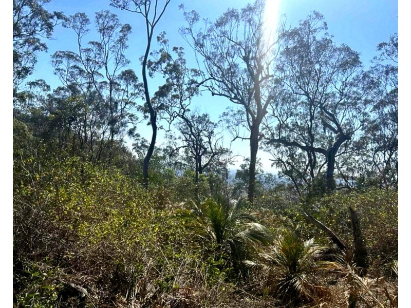 1290 Nine Mile Road, Nine Mile Creek QLD 4714