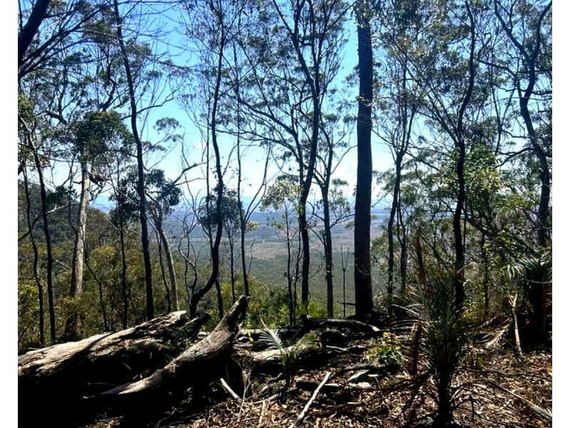 1290 Nine Mile Road, Nine Mile Creek QLD 4714