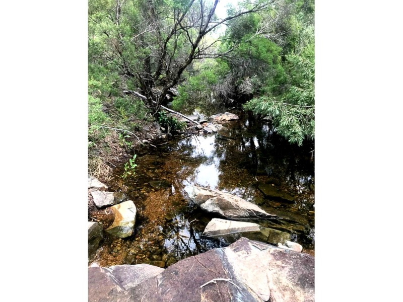 1290 Nine Mile Road, Nine Mile Creek QLD 4714