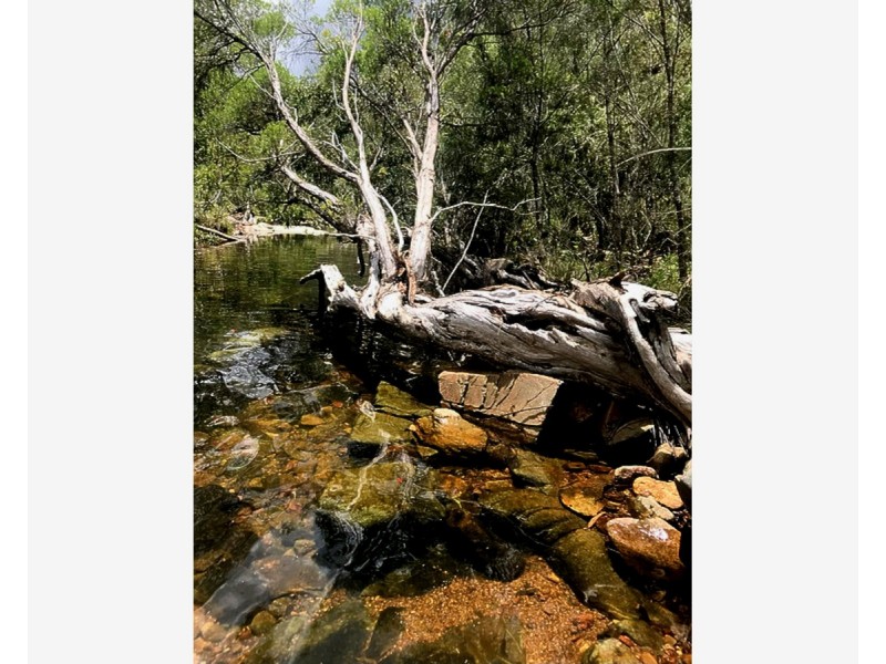 1290 Nine Mile Road, Nine Mile Creek QLD 4714