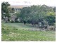 357 Hinds Street, Koongal QLD 4701