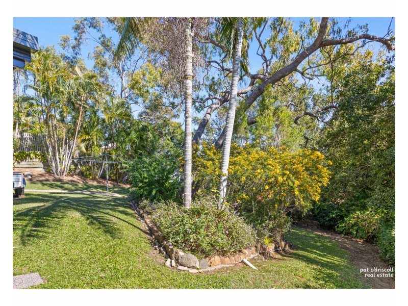 303 Everingham Avenue, Frenchville QLD 4701